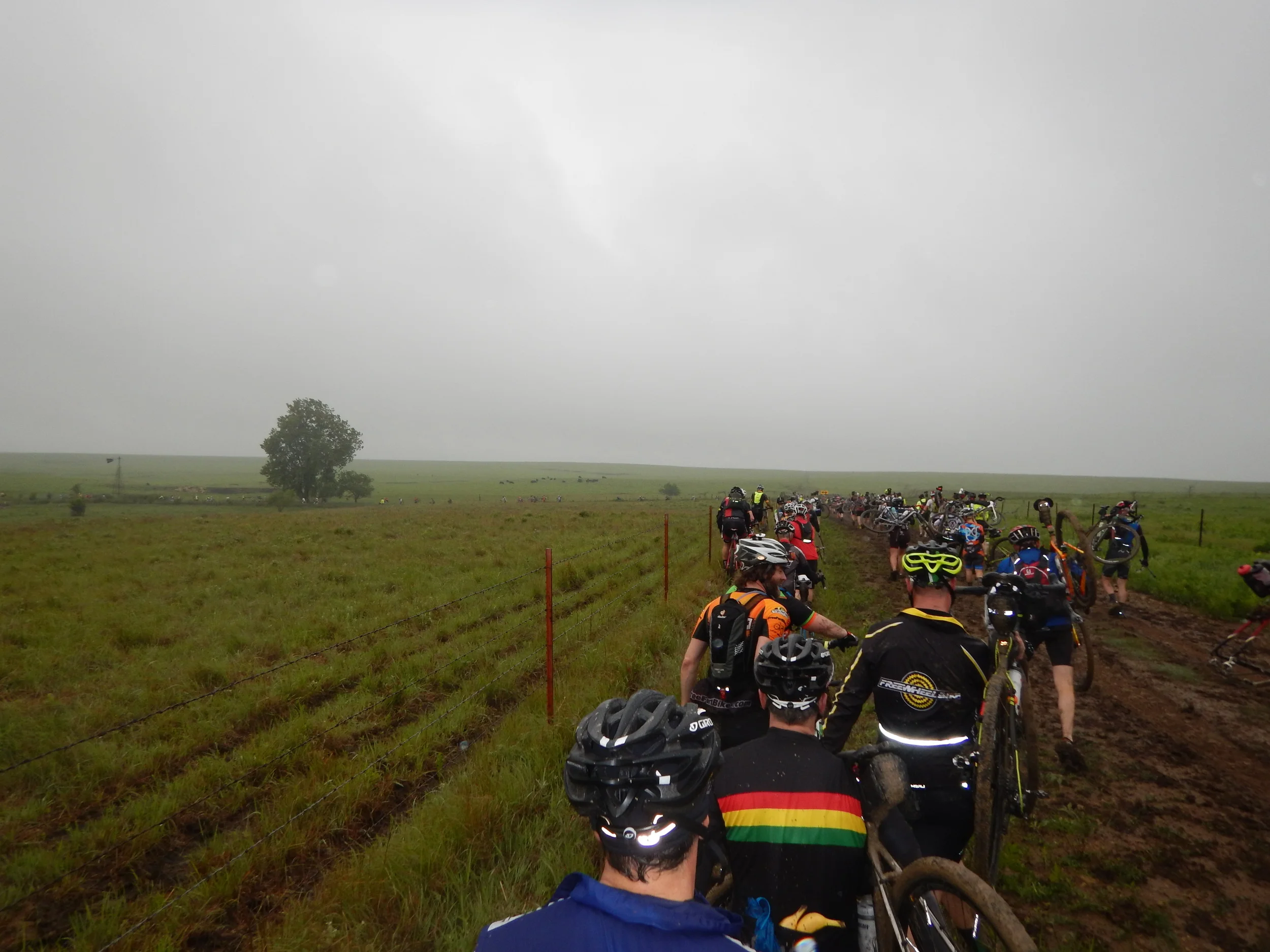 This went on for miles. Many derailleurs died to bring us this information.
