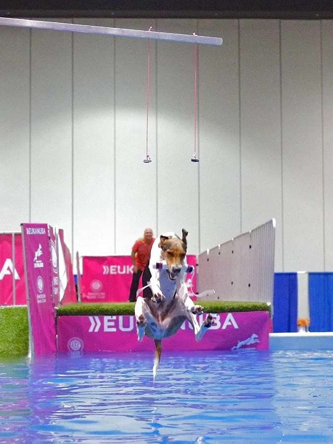 2014 Eukanuba Show-3.jpg