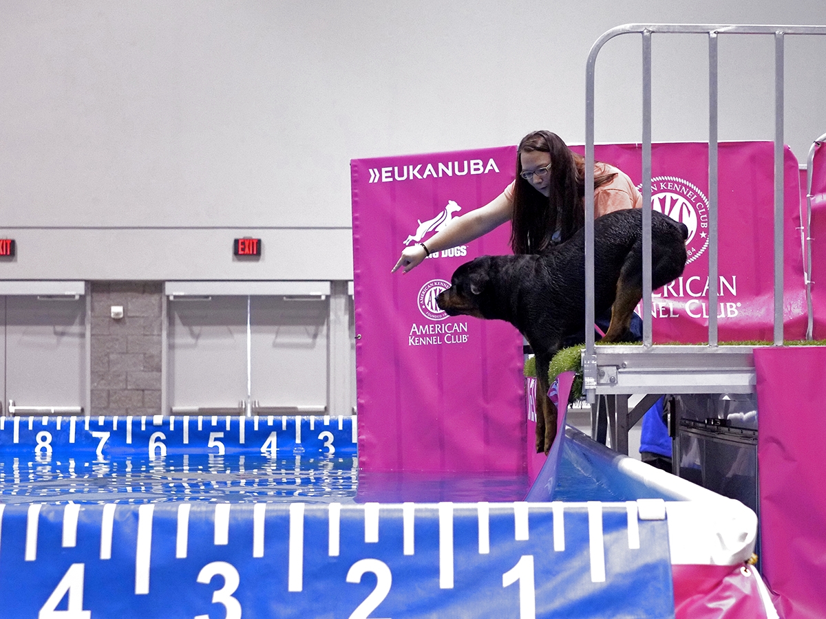 2014 Eukanuba Show-2.JPG