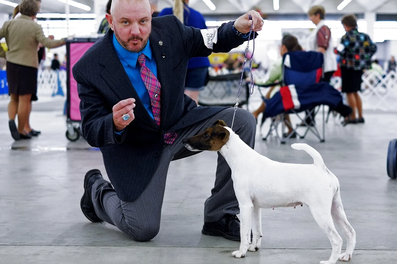 2014 Atlanta Dog Show - August-3.jpg