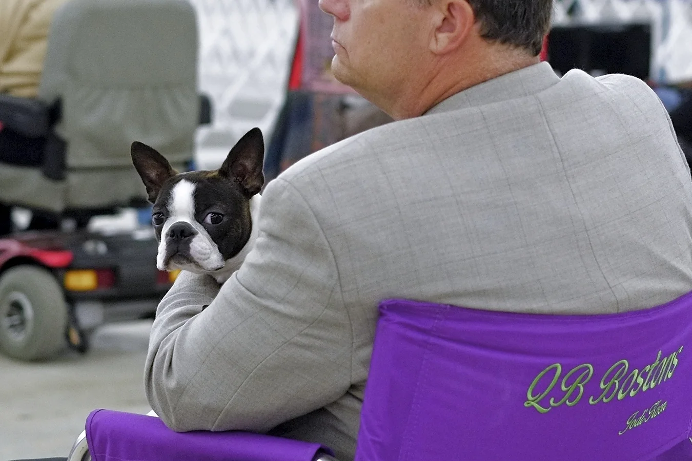 2014 Atlanta Dog Show - August-2.jpg