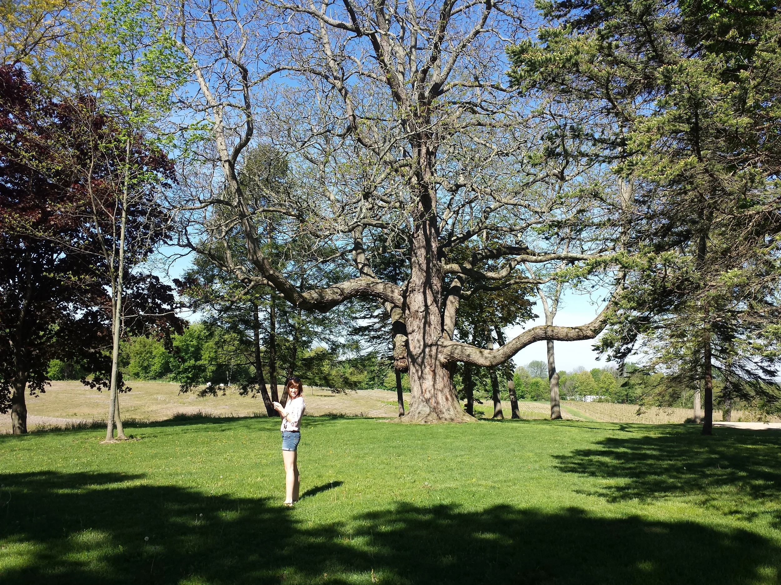 IMG_20140524_100516.jpg
