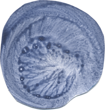 Circle8.png