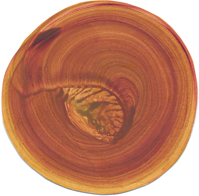 Circle14.png