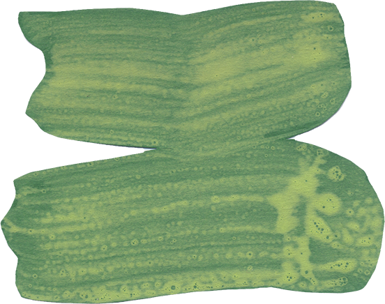 Squiggle1810.png