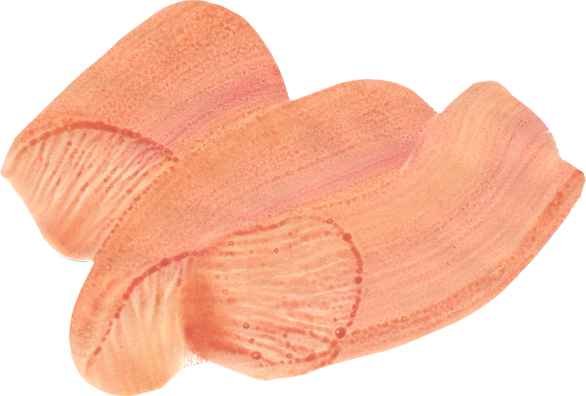 Squiggle2013.png