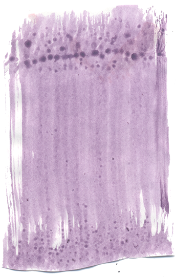 Paintinganim1Simple2720.png