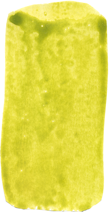 Paintinganim1Simple3024.png