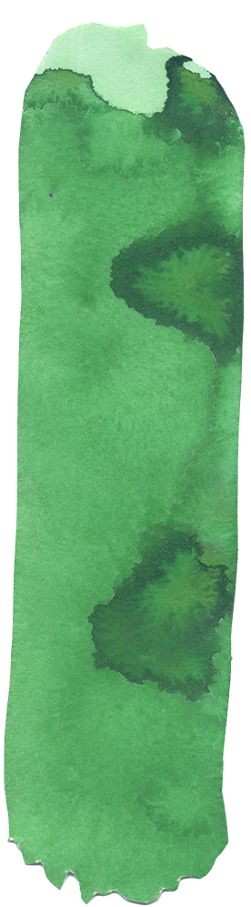 Paintinganim1Simple3529.png