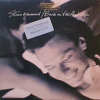 steve winwood back in the high life.jpg