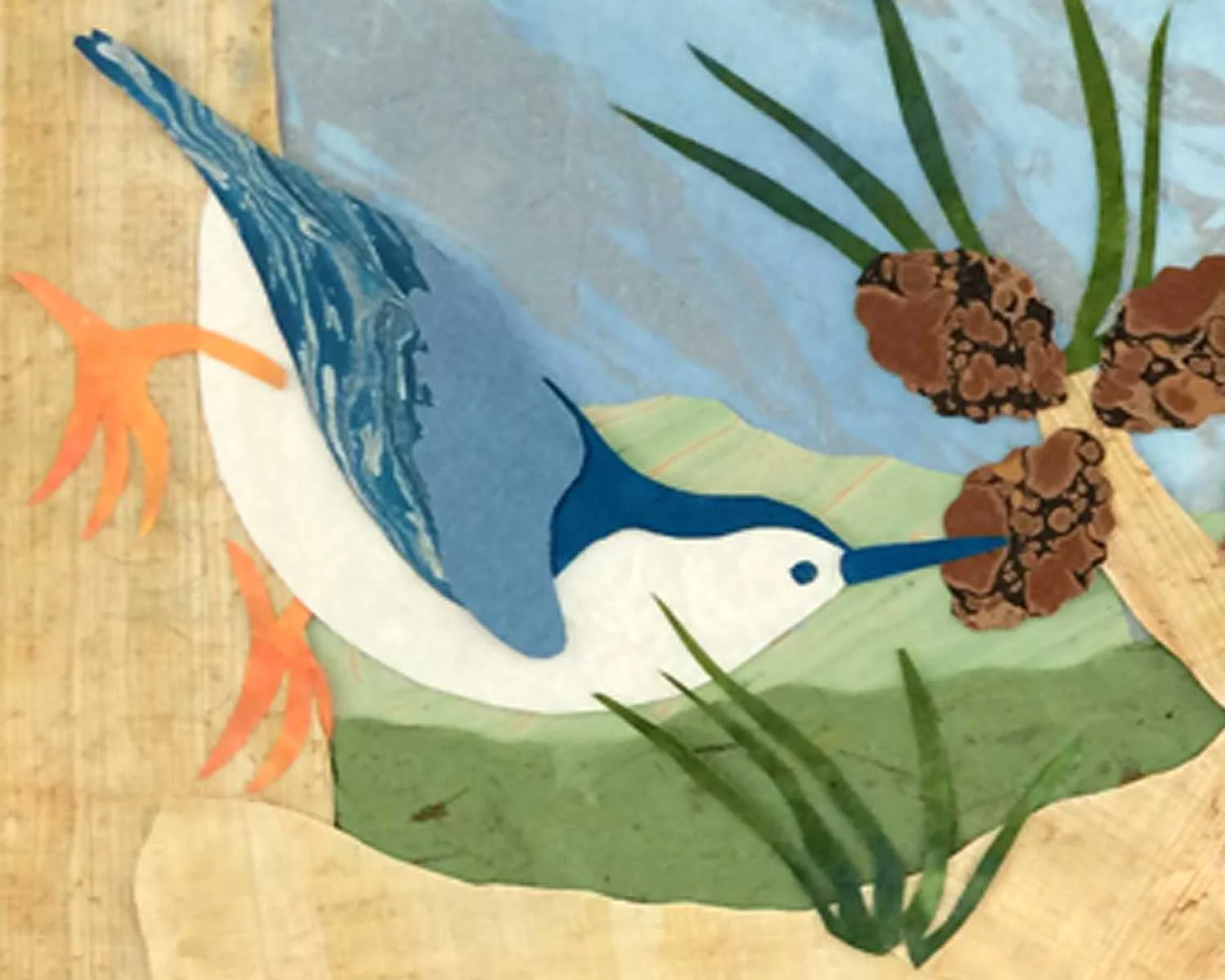 nuthatch2 cropped for index-for-web.jpg