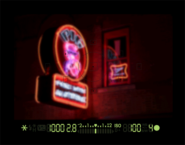 This animated gif was created using my original images and viewfinder graphic.