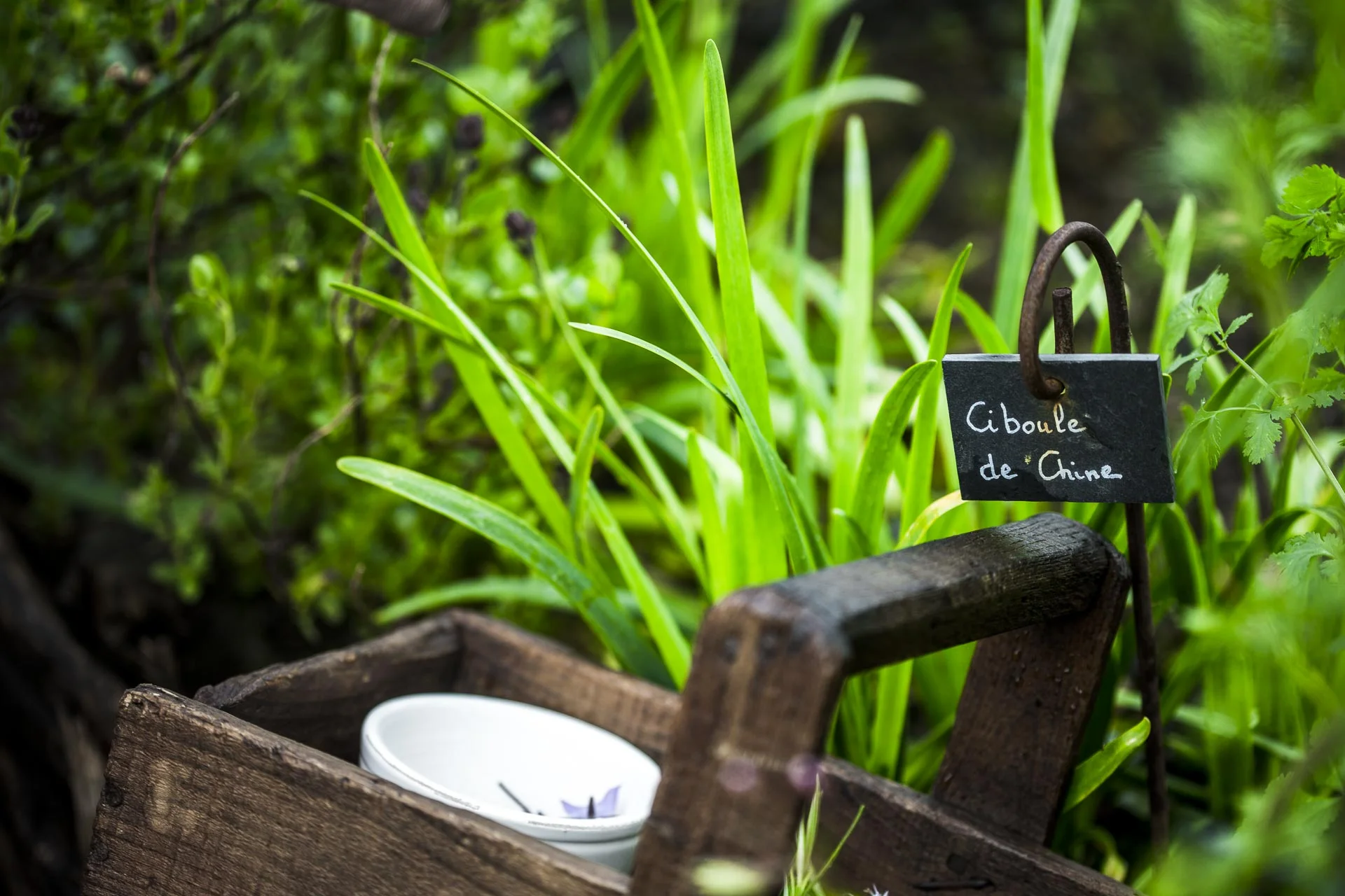 domaine_dablon_galerie_partenaires©stephaneleroy-2-18.jpg