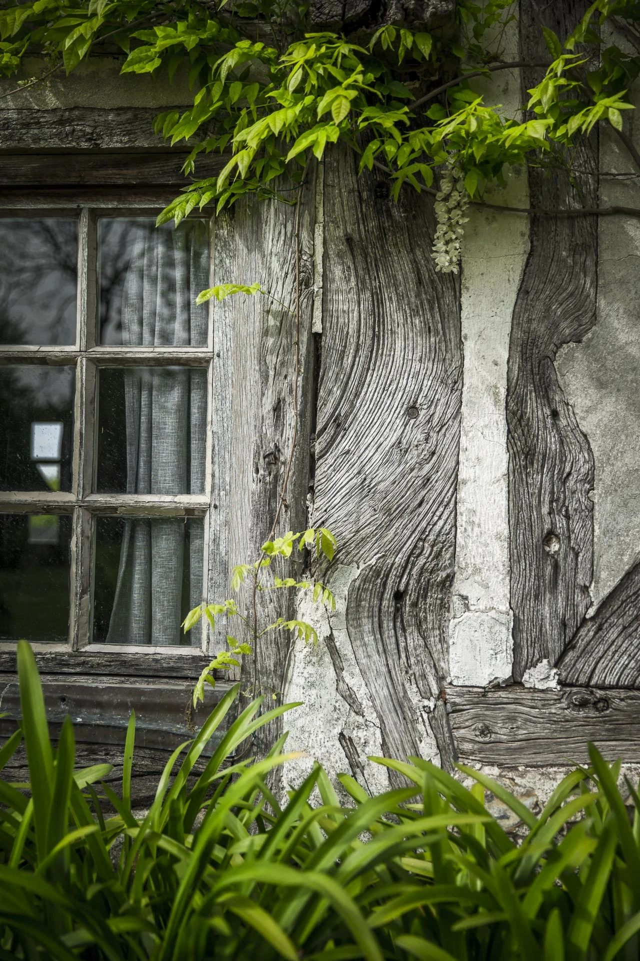 domaine_dablon_galerie_partenaires©stephaneleroy-7088.jpg