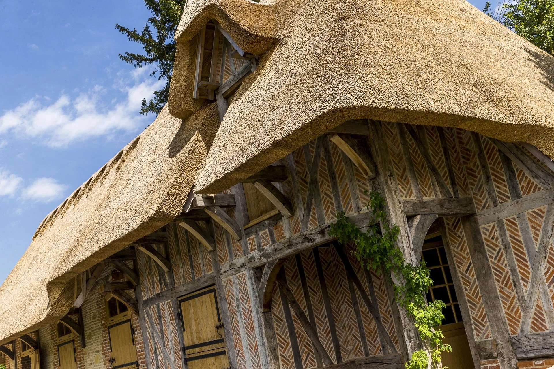 domainedablon_exterieurs_printemps©stephaneleroy-2-8.jpg
