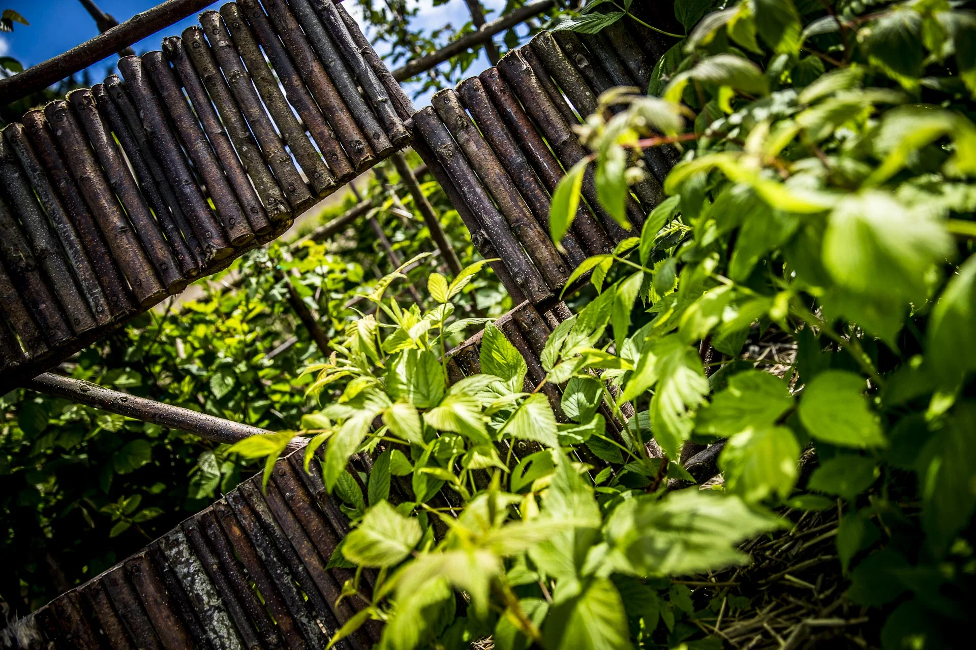 domaine_dablon_potager©stephaneleroy-2-259.jpg