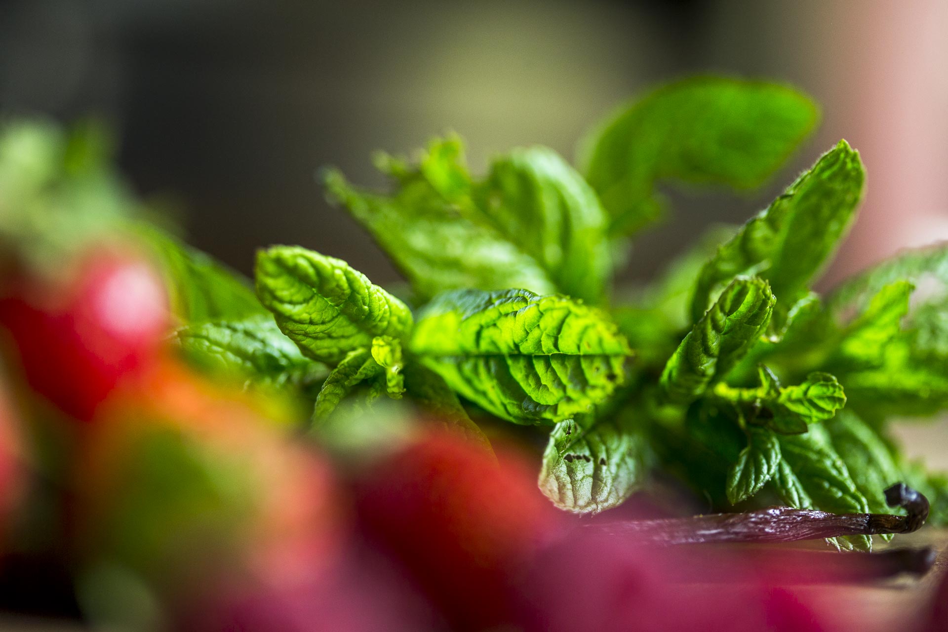 taboule_sucre_menthe_fraises©stephaneleroy-0230.jpg