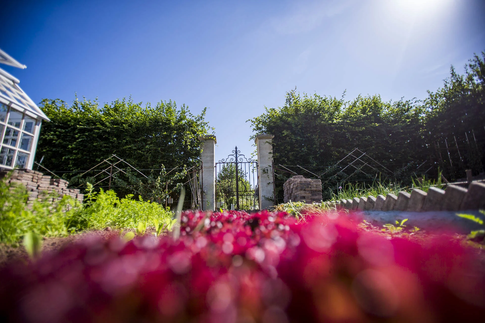 domaine_dablon_potager©stephaneleroy-E61R3138-2.jpg