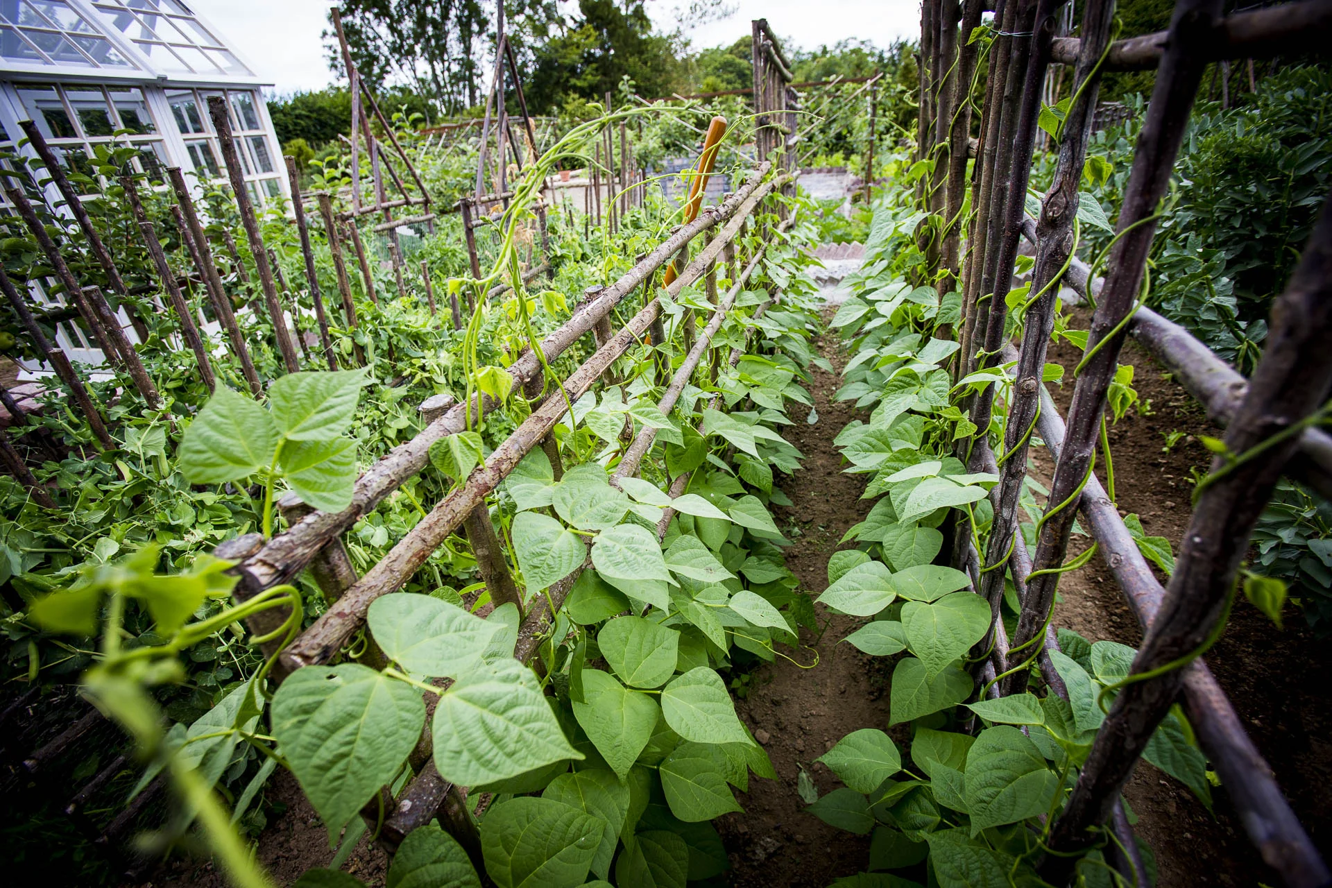 domaine_dablon_potager©stephaneleroy-E61R2171-2.jpg