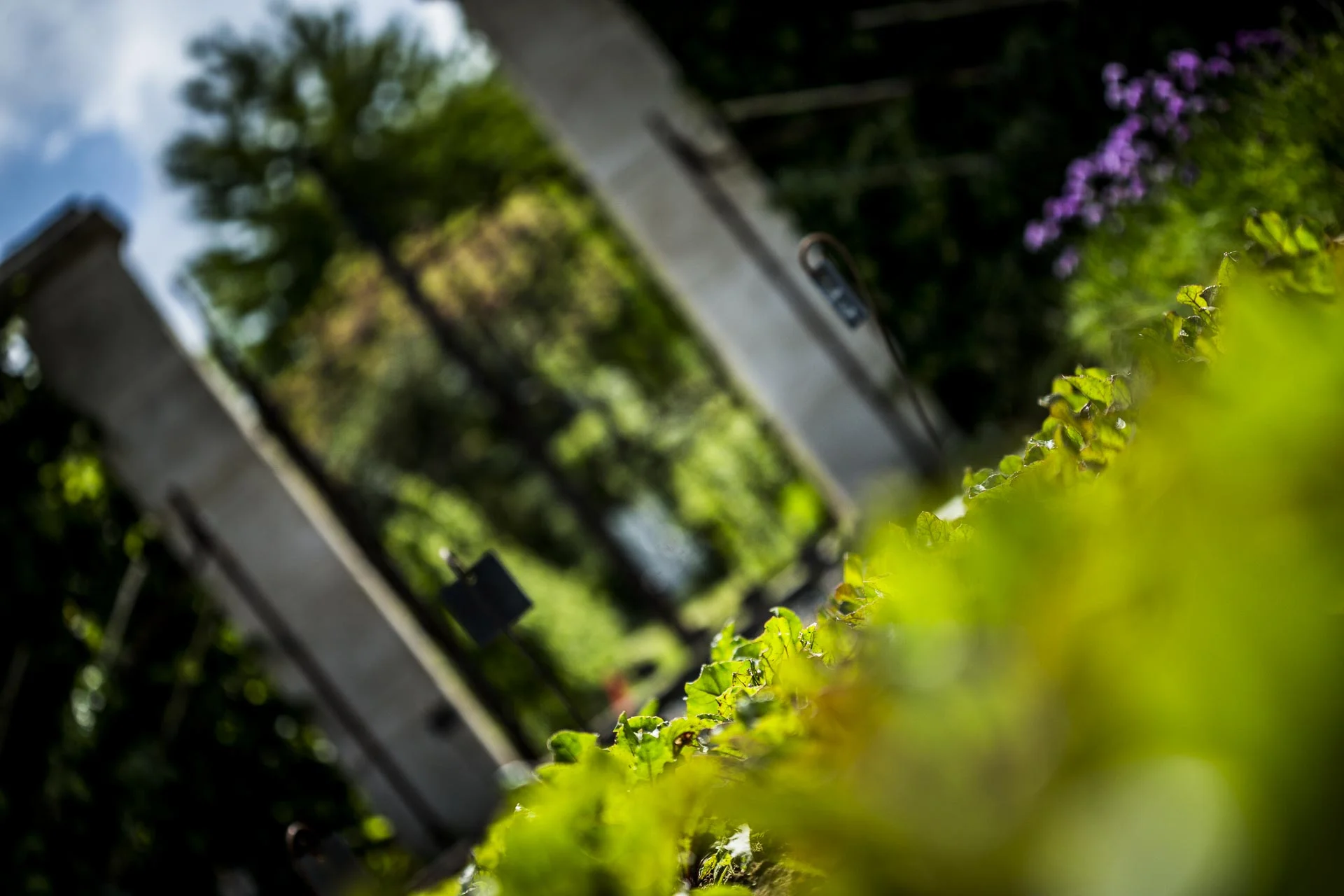 domaine_dablon_potager©stephaneleroy-2-239.jpg