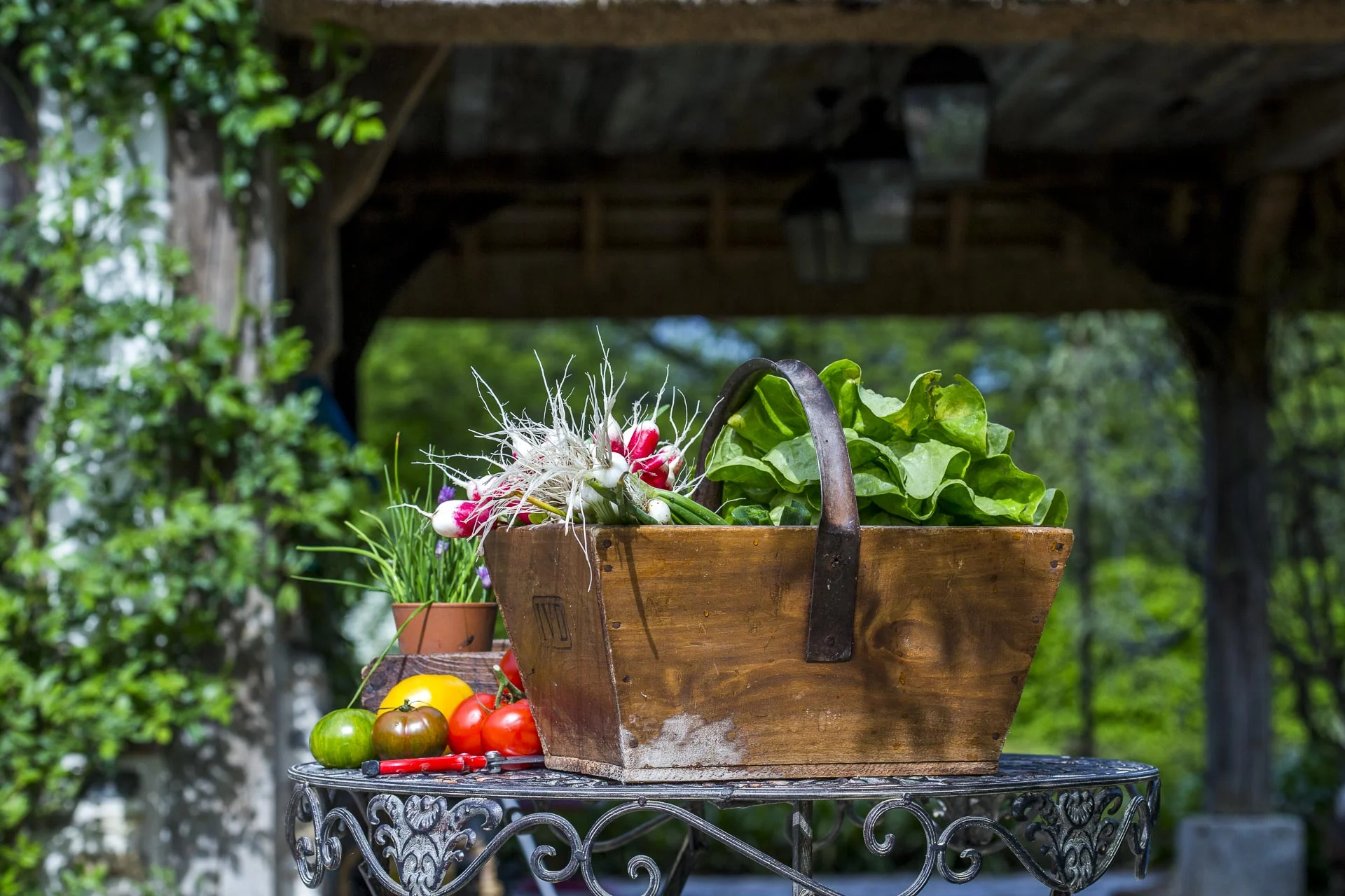 domaine_dablon_potager©stephaneleroy-2-226.jpg