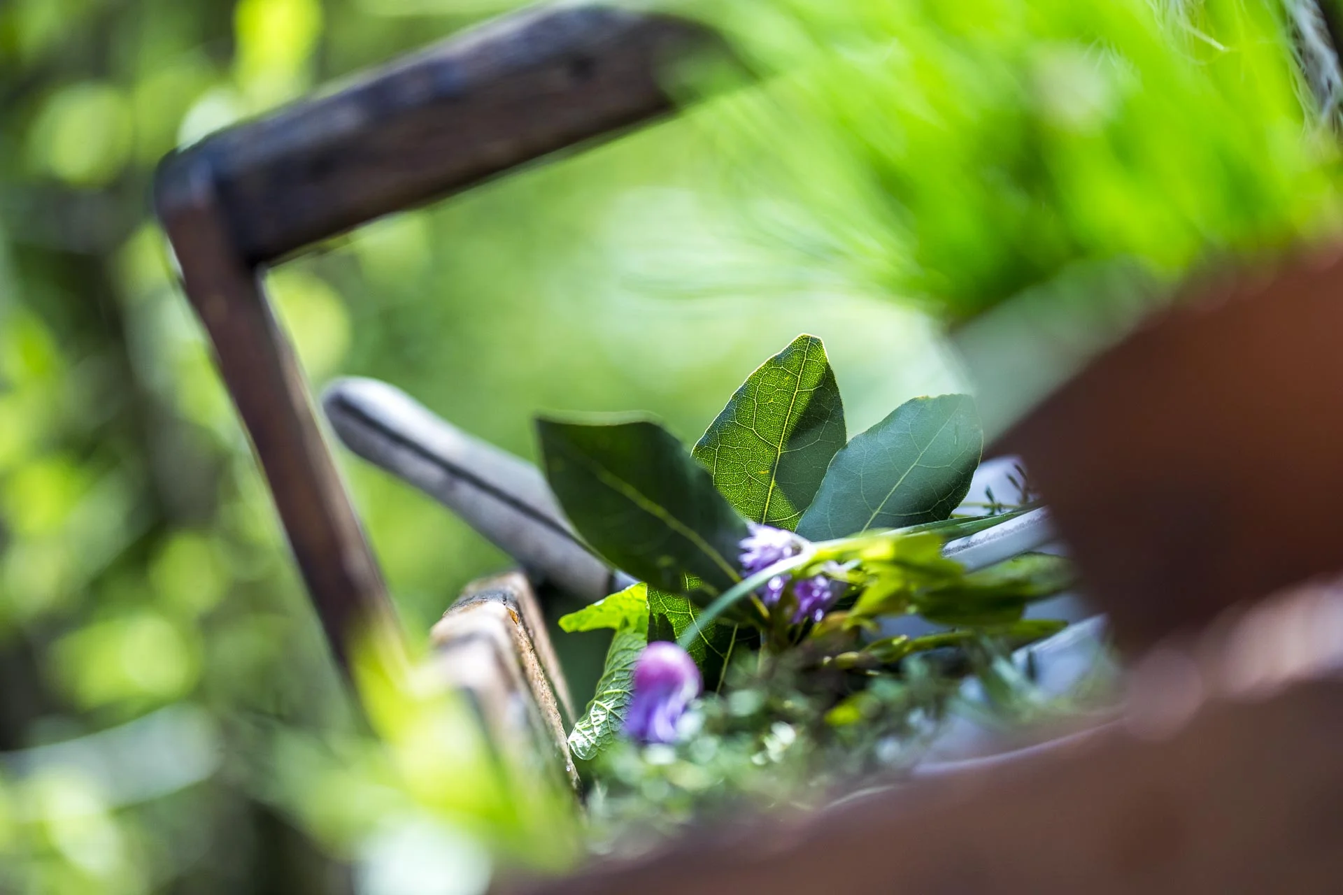 domaine_dablon_potager©stephaneleroy-9561.jpg