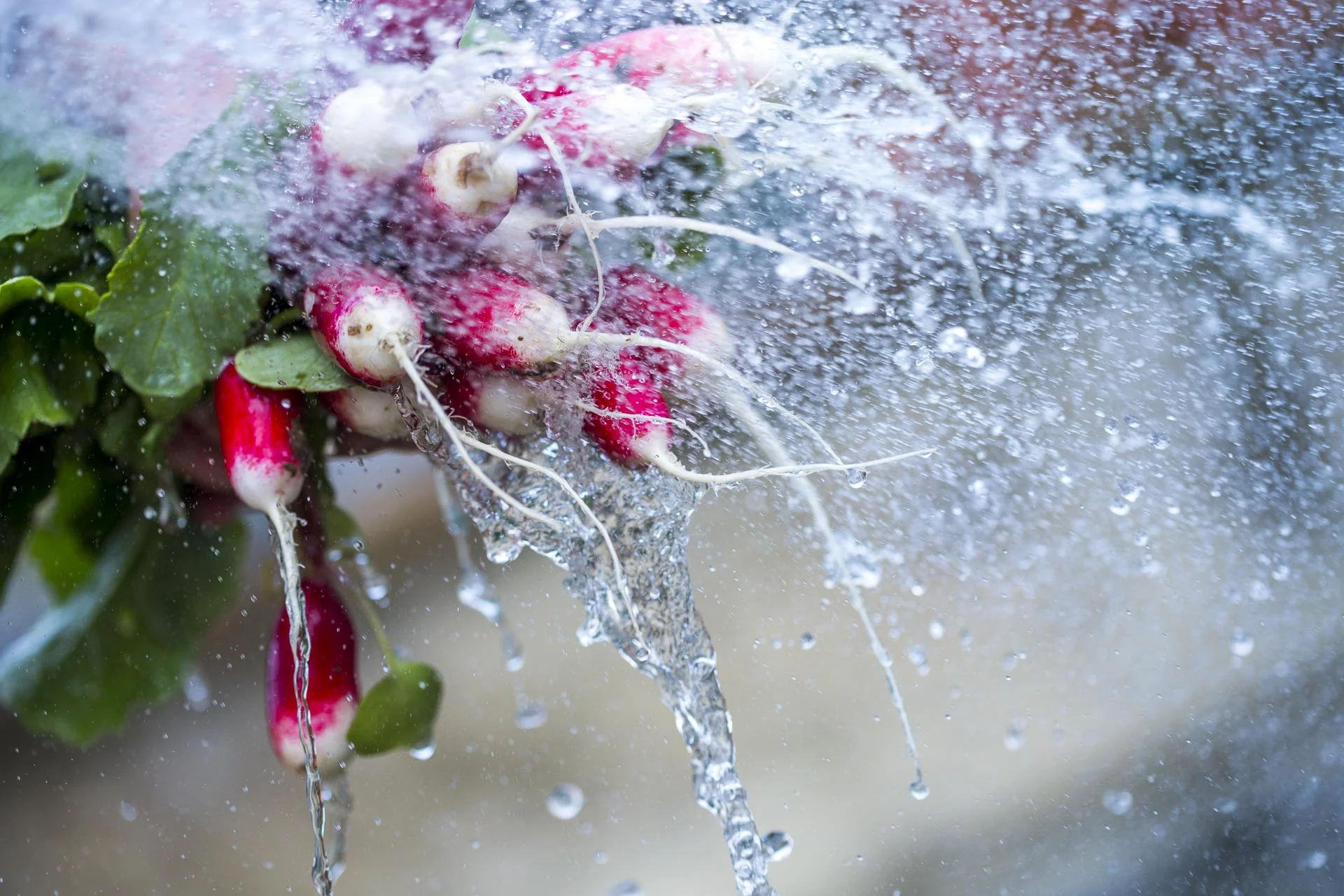 domaine_dablon_potager©stephaneleroy-2-179.jpg