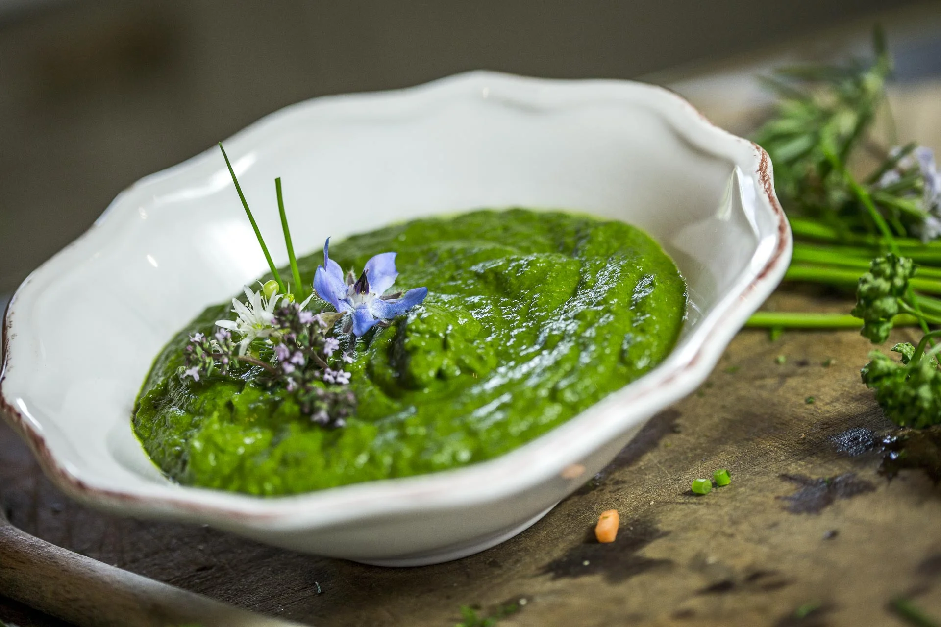 bouillon_dherbes©stephaneleroy-2-70.jpg