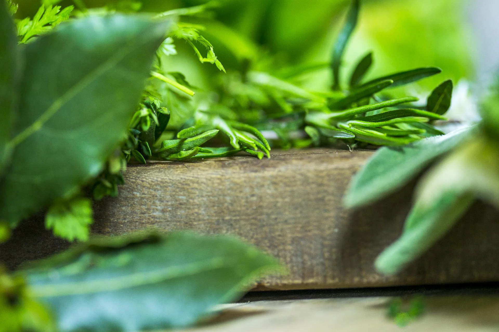 bouillon_dherbes©stephaneleroy-2-4.jpg