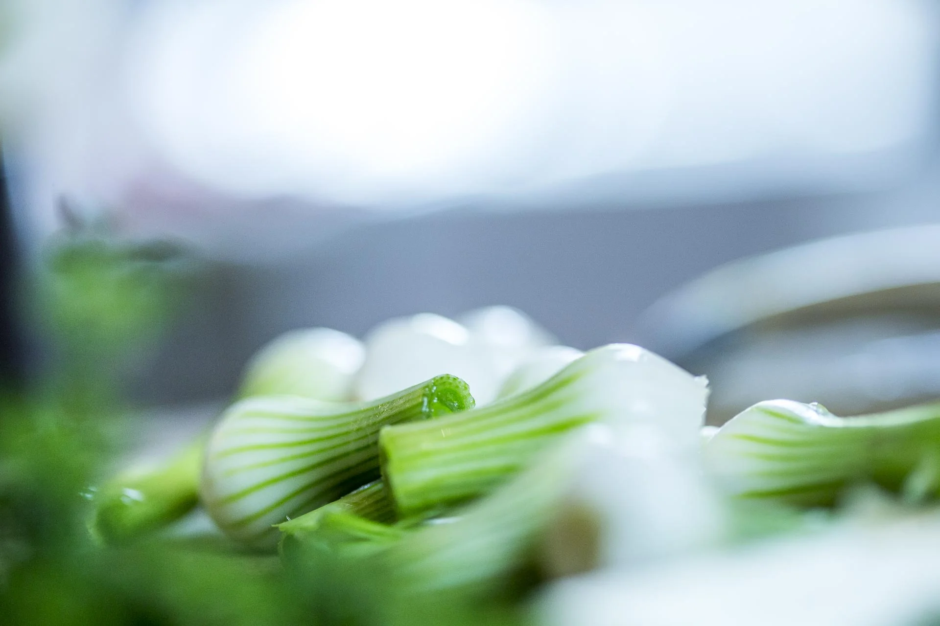 oignons_blancs_confits_thym_citron©stephaneleroy-2-33.jpg