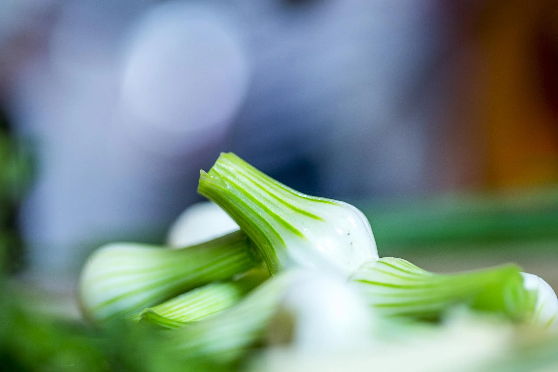 oignons_blancs_confits_thym_citron©stephaneleroy-2-25.jpg