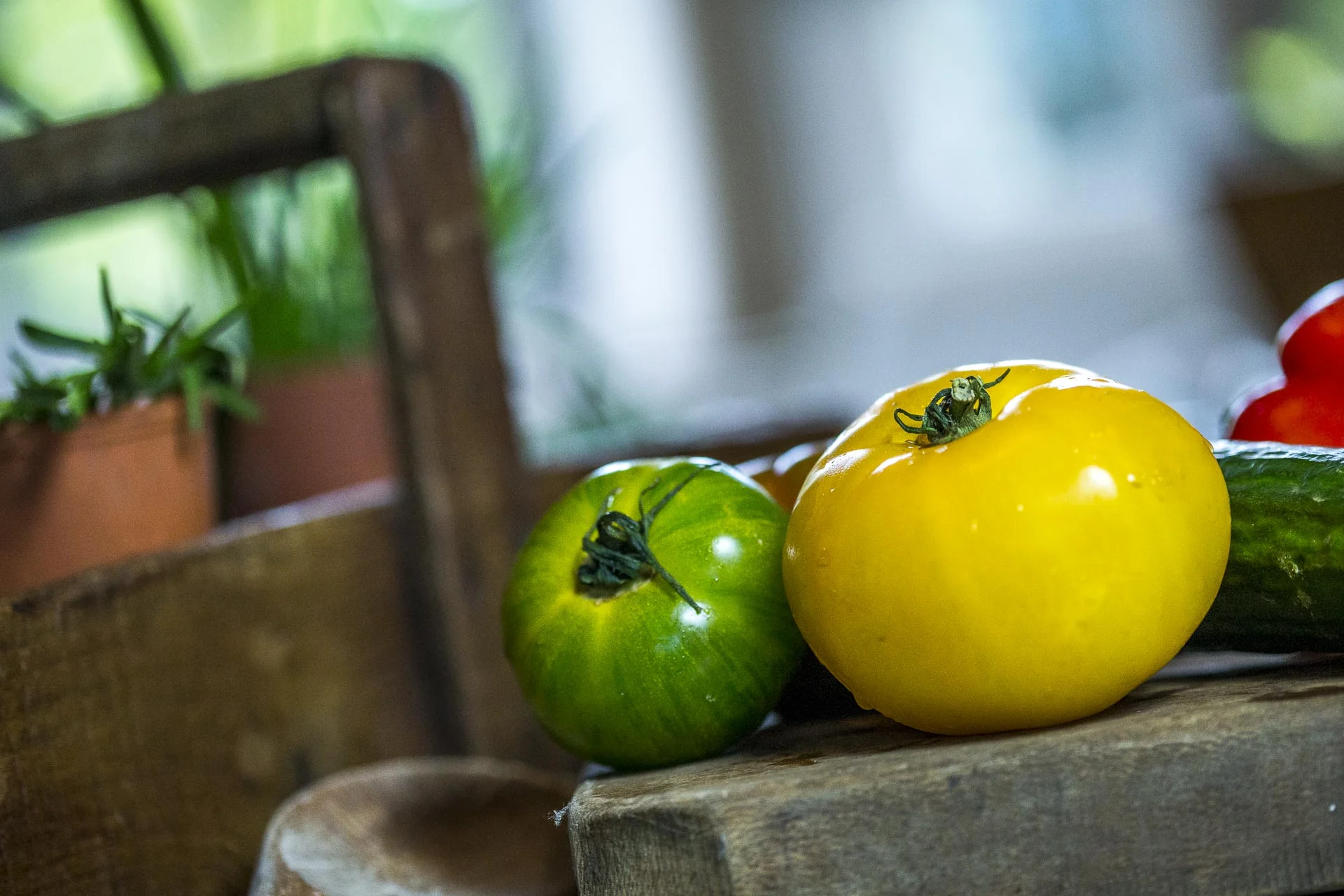 gaspacho_tomates©stephaneleroy-9946.jpg