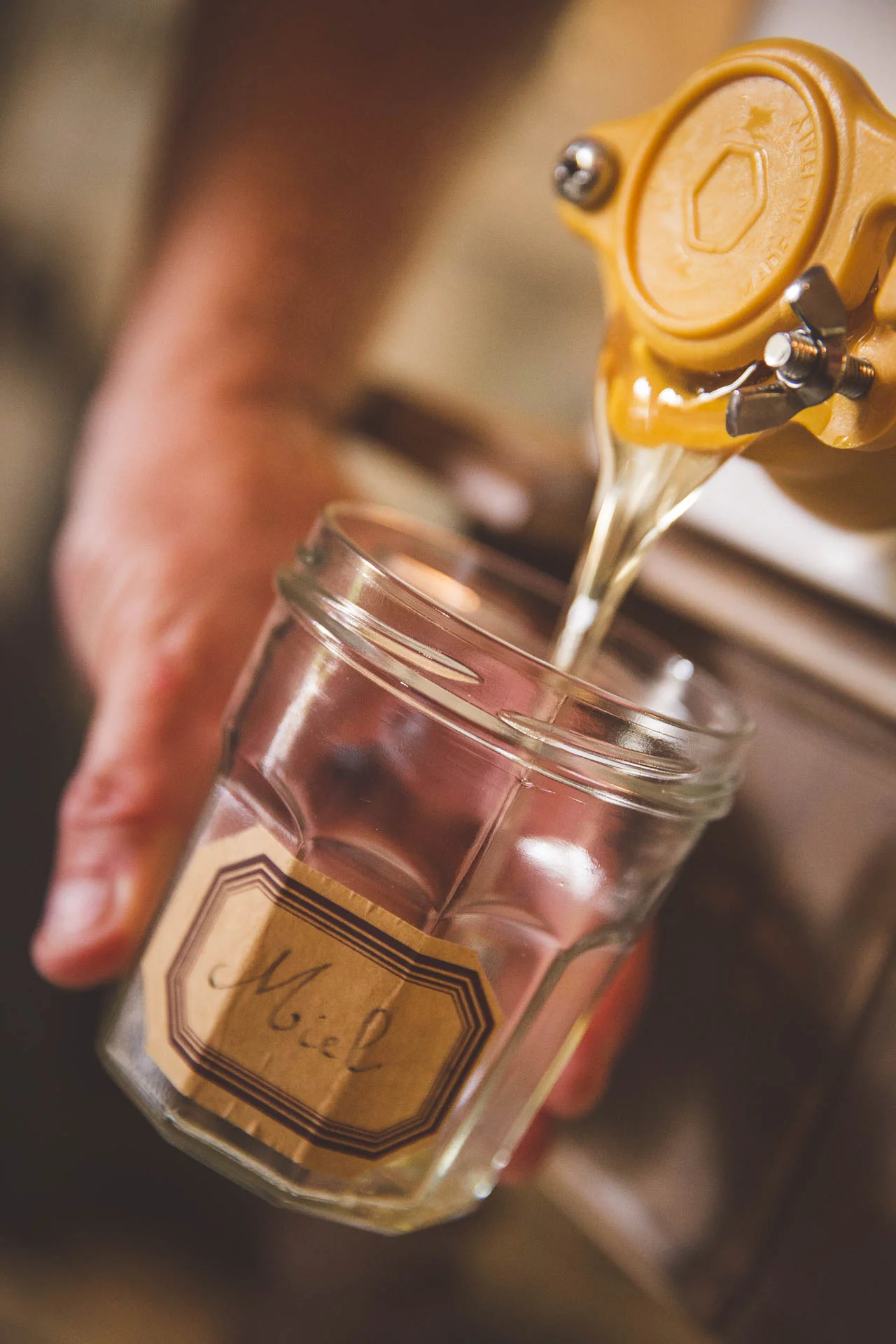 recolte_miel_domaine_d_ablon©stephaneleroy-E61R5853.jpg