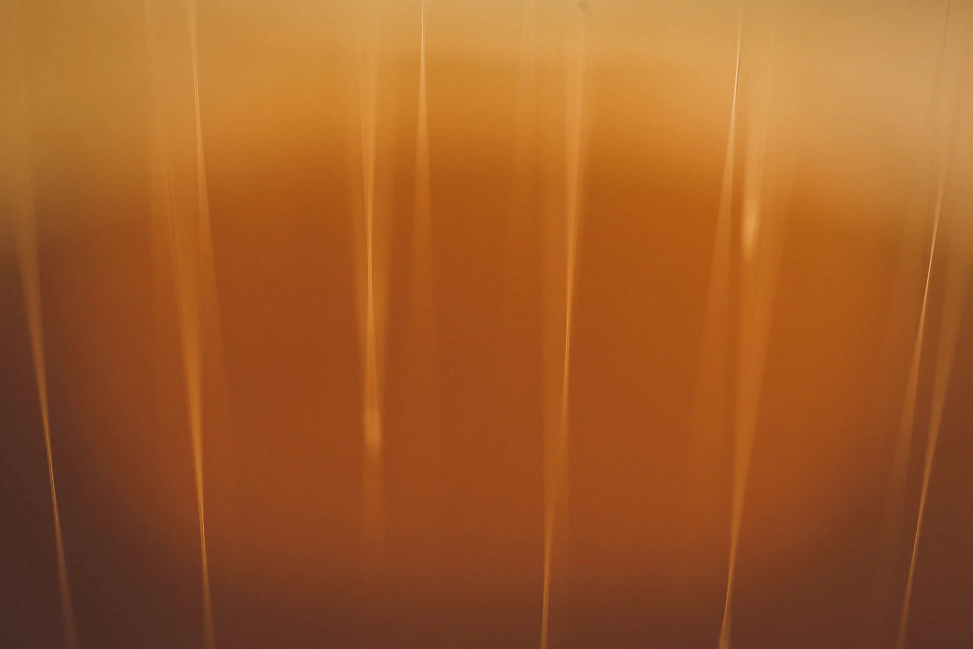 recolte_miel_domaine_d_ablon©stephaneleroy-E61R5815.jpg