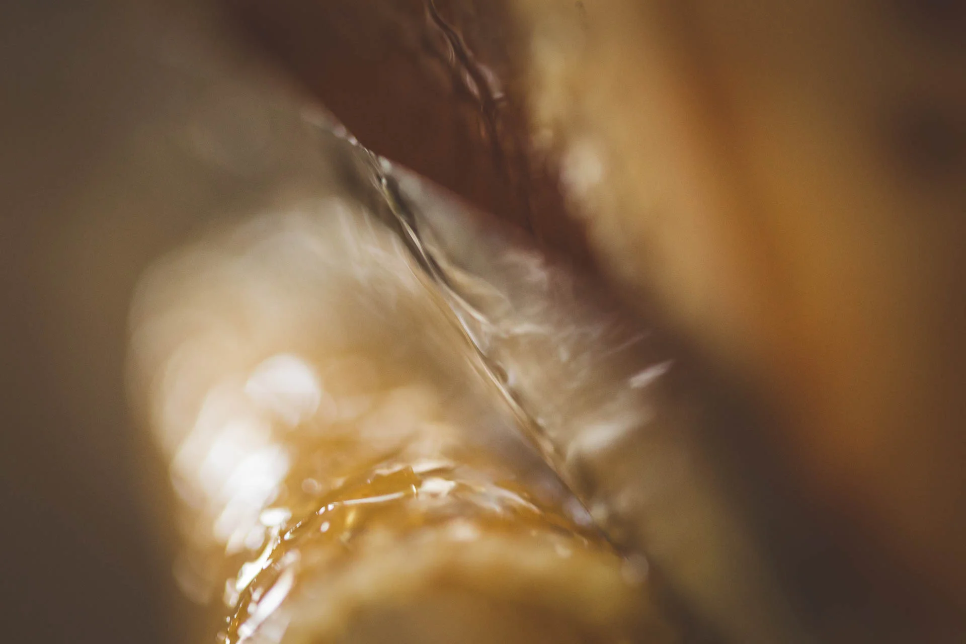 recolte_miel_domaine_d_ablon©stephaneleroy-E61R5680.jpg
