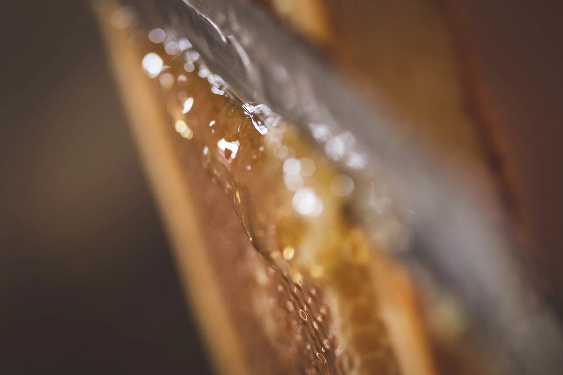 recolte_miel_domaine_d_ablon©stephaneleroy-E61R5665.jpg