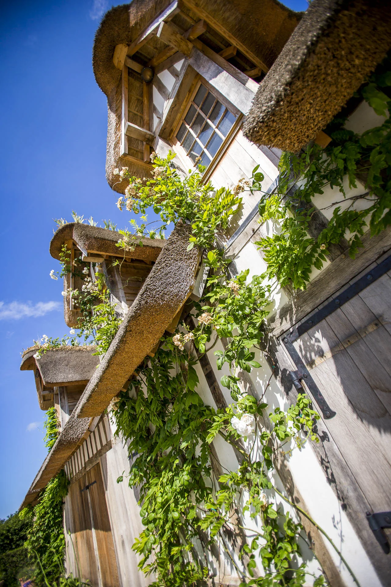 domaine_dablon_exterieurs_ete©stephaneleroy-E61R3020-2.jpg