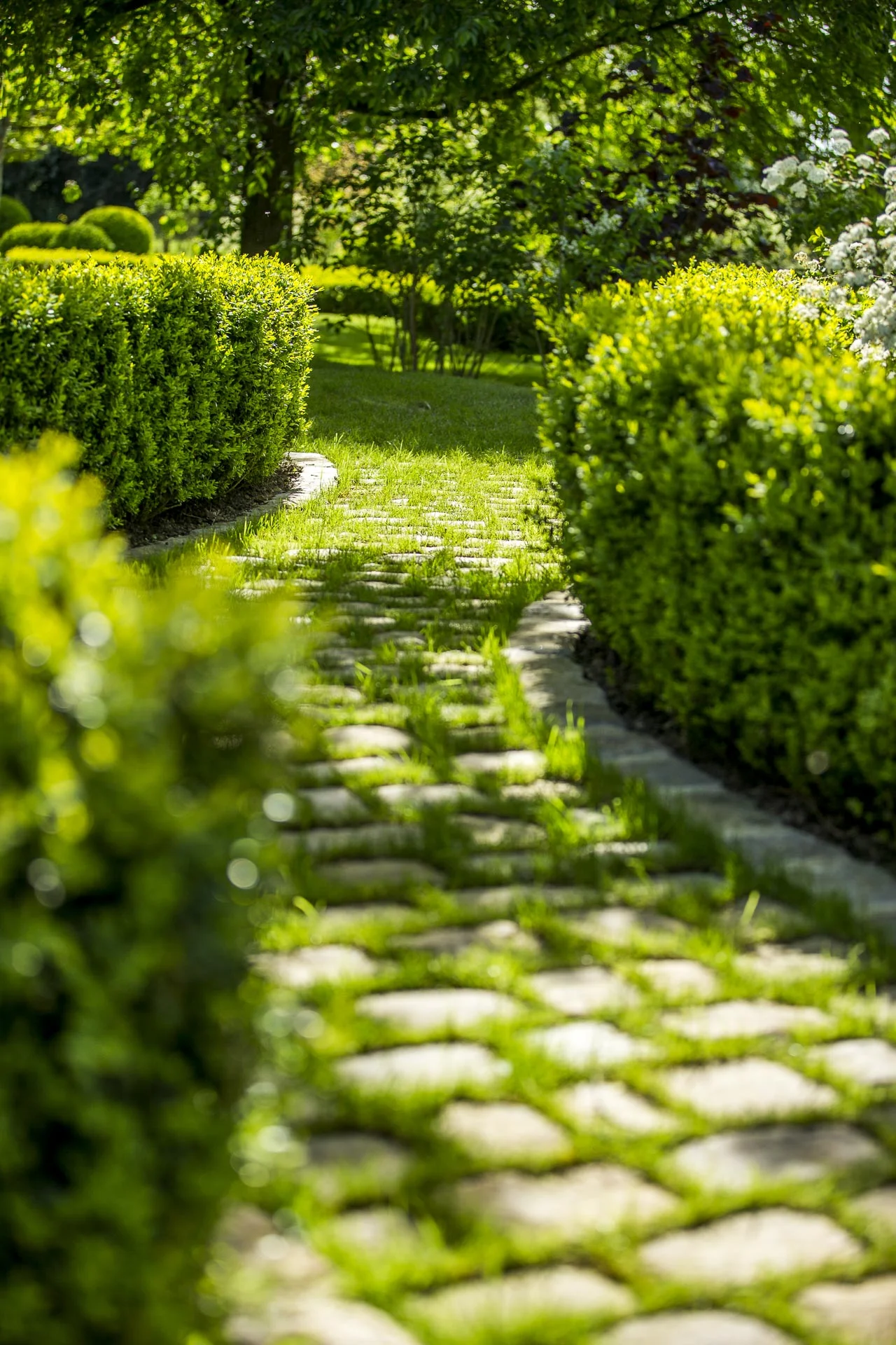 domaine_dablon_exterieurs_ete©stephaneleroy-6896.jpg