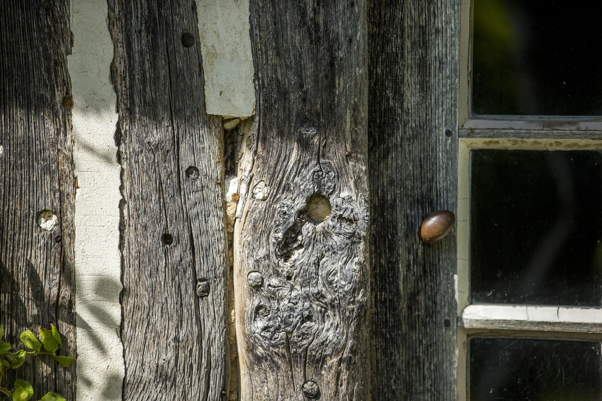 domaine_dablon_exterieurs_ete©stephaneleroy-6917.jpg