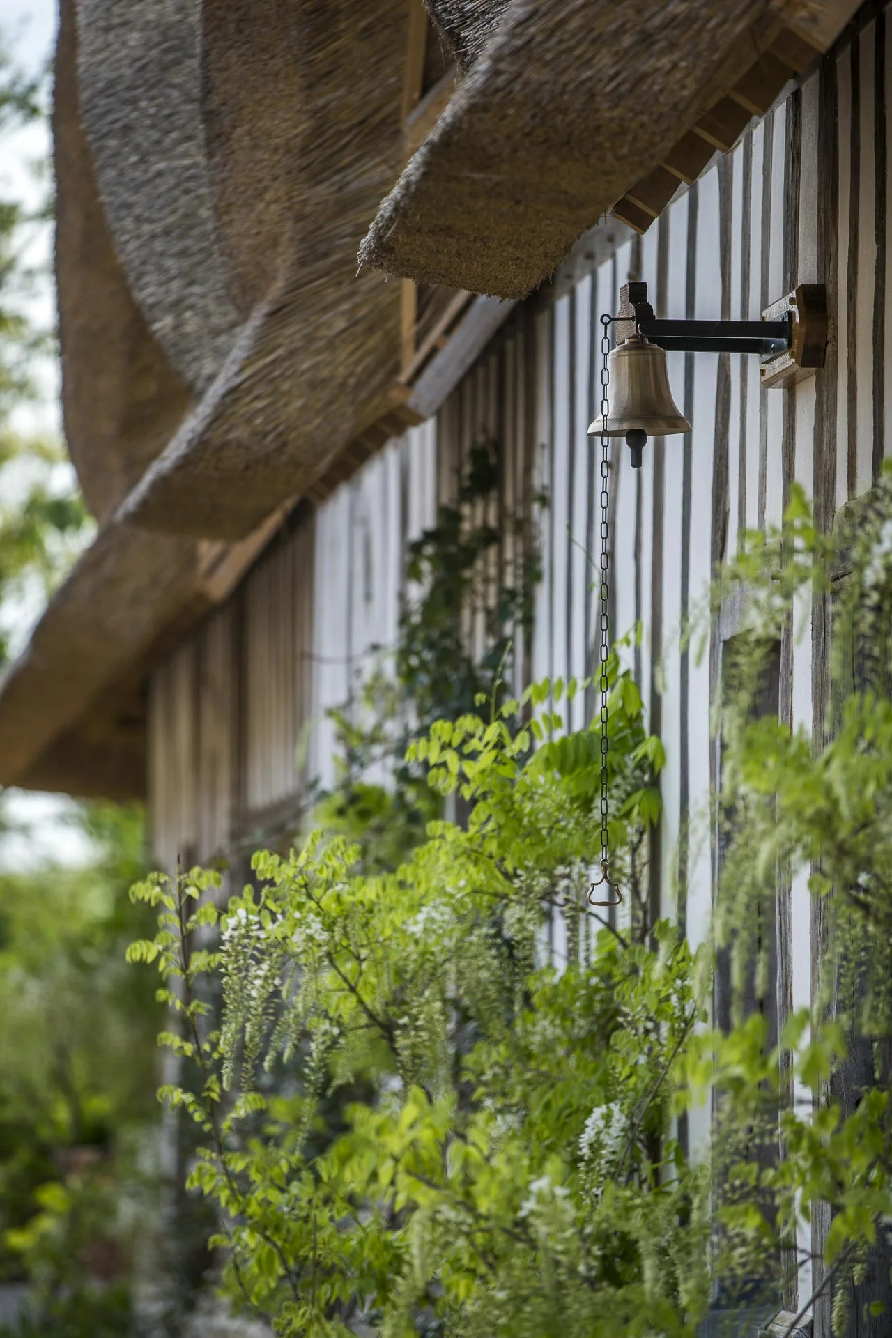 domaine_dablon_exterieurs_ete©stephaneleroy-7020.jpg