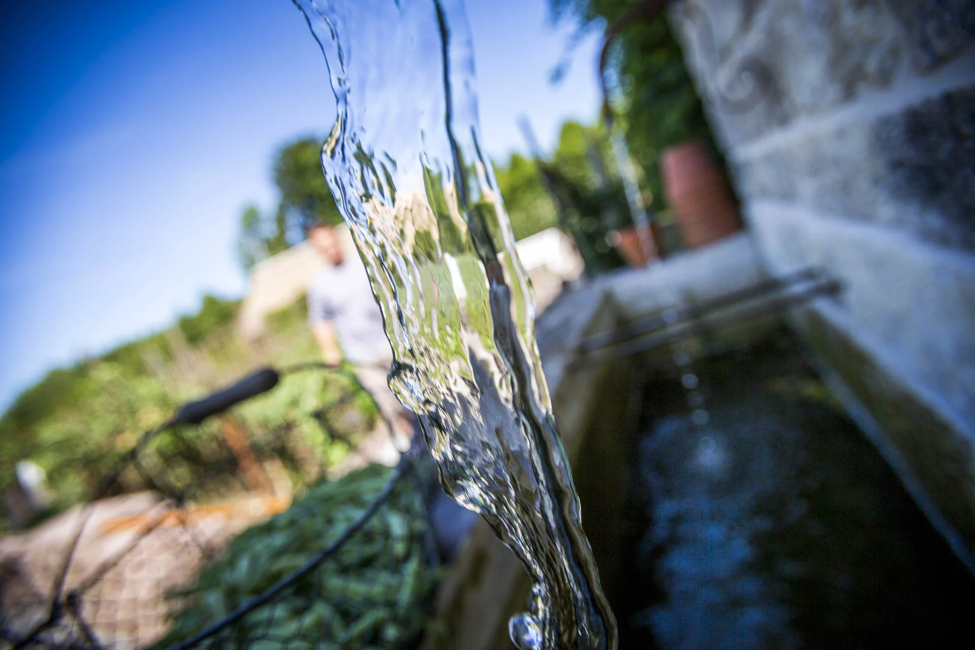 domaine_dablon_fontaines©stephaneleroy-E61R3113-2.jpg