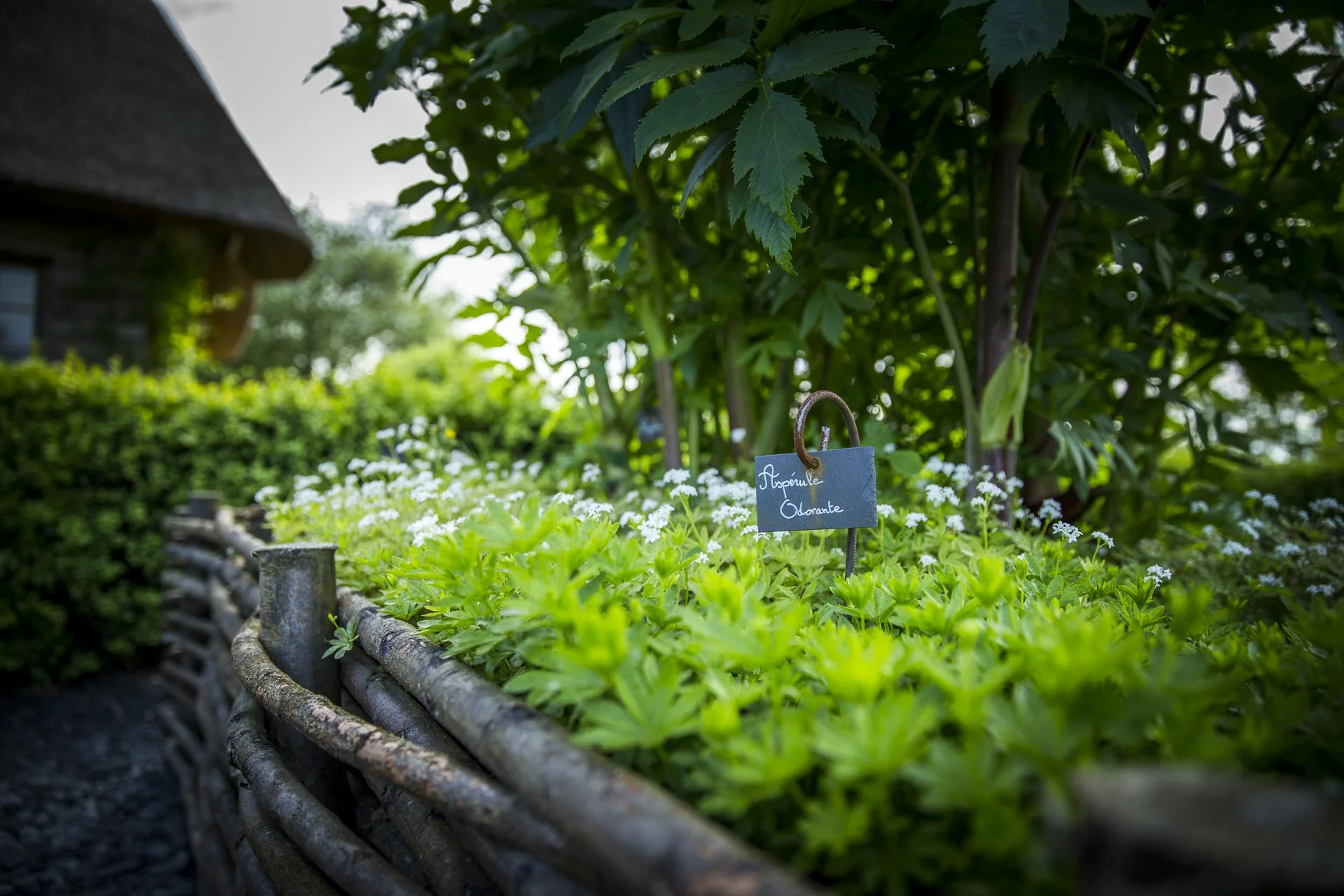 domaine_dablon_exterieurs_ete©stephaneleroy-6986.jpg