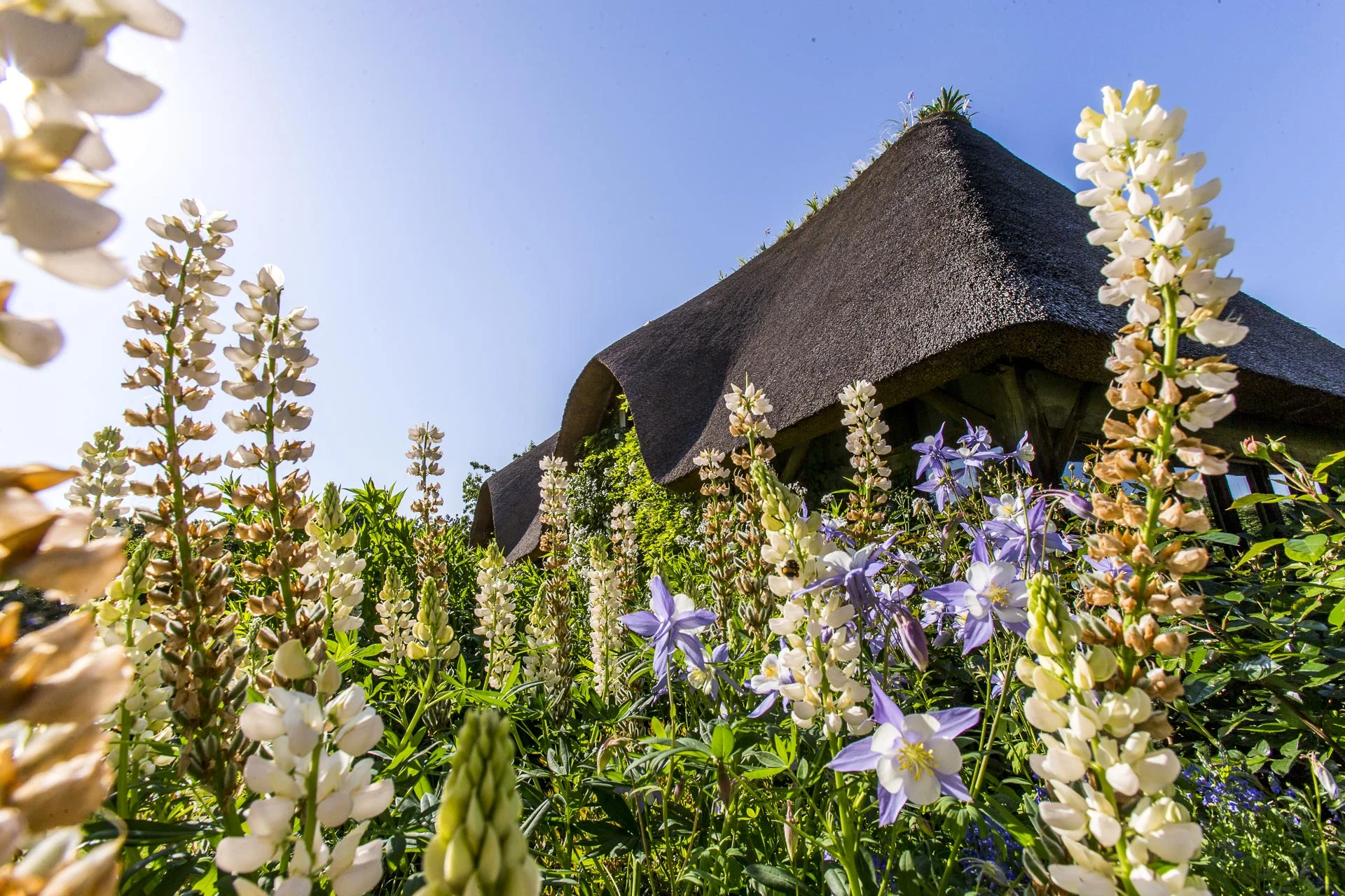 domainedablon_exterieurs_printemps©stephaneleroy-E61R9176.jpg