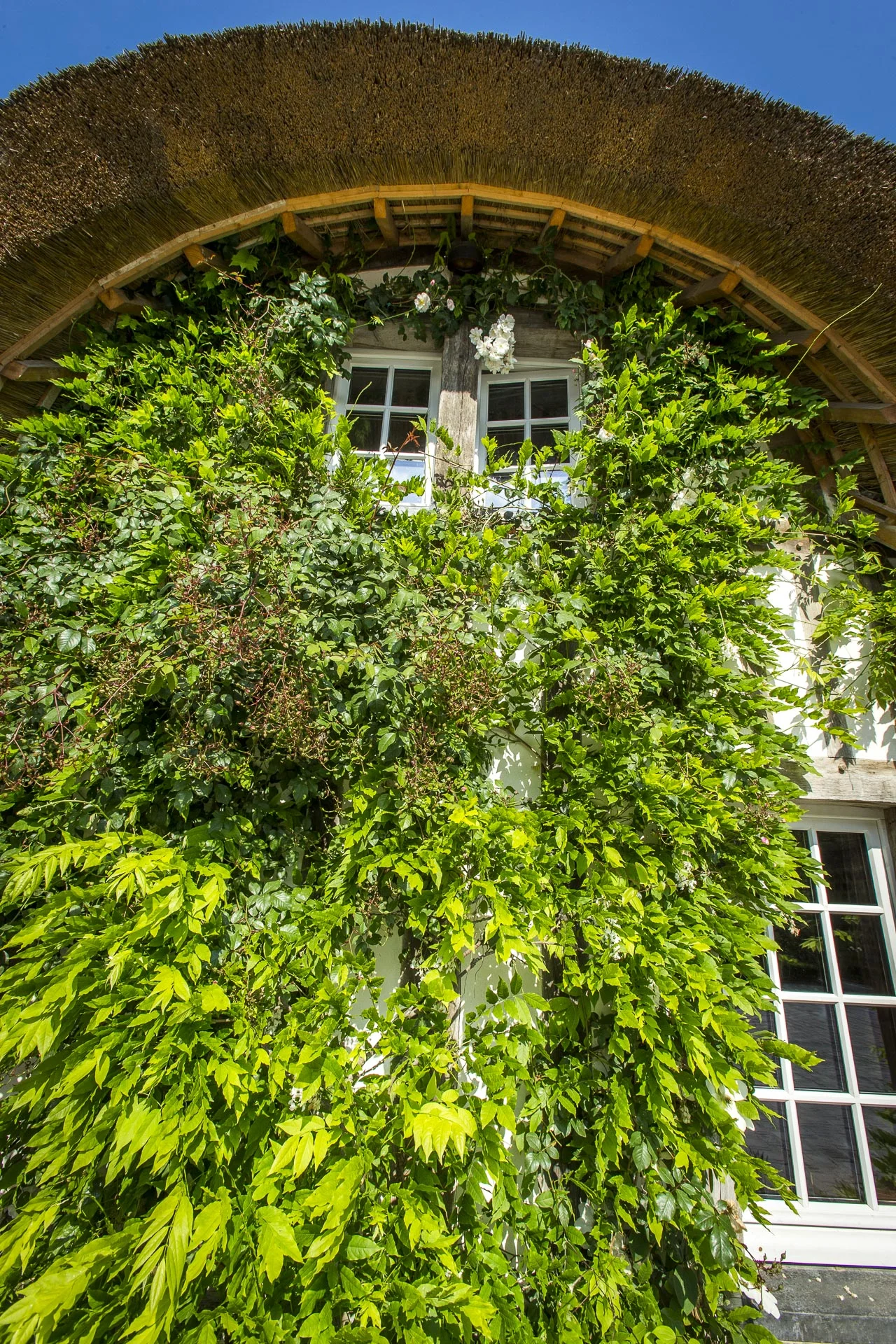 domainedablon_exterieurs_printemps©stephaneleroy-E61R7197.jpg