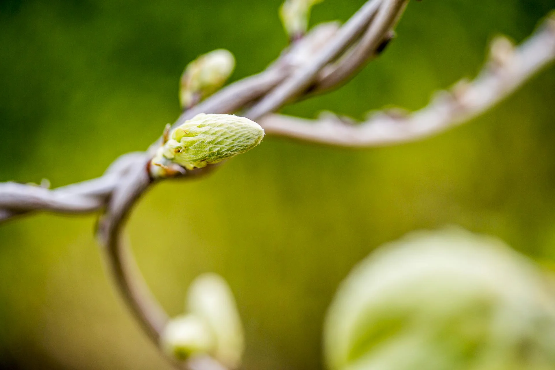 domainedablon_exterieurs_printemps©stephaneleroy-4248.jpg
