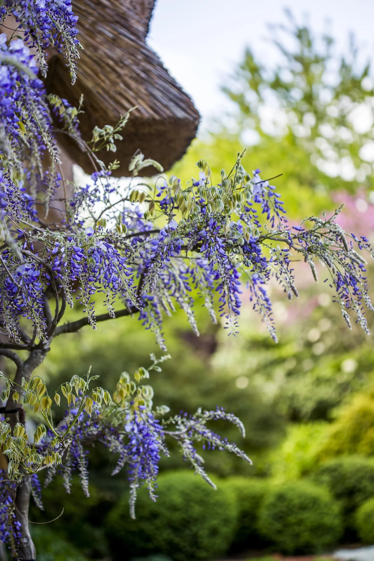 domainedablon_exterieurs_printemps©stephaneleroy-4242.jpg