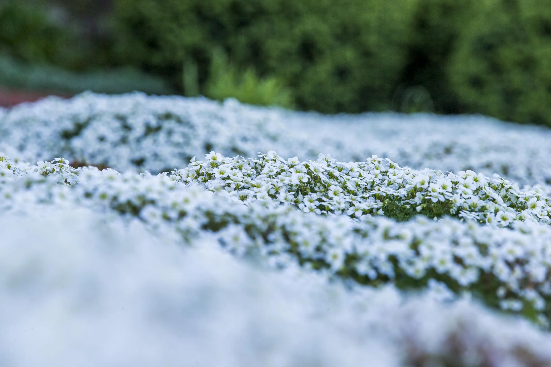 domainedablon_exterieurs_printemps©stephaneleroy-4070.jpg