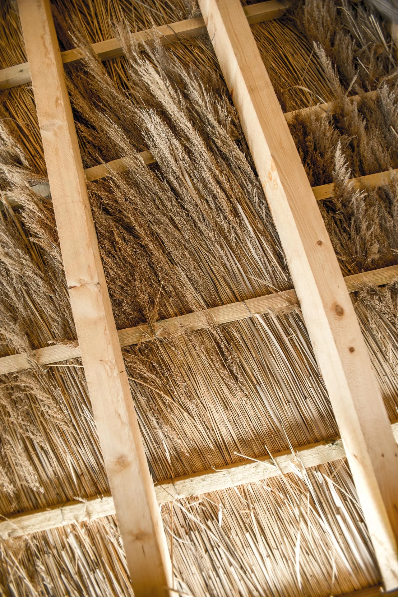domaine_dablon_matieres_et_textures©stephaneleroy-E61R7172.jpg