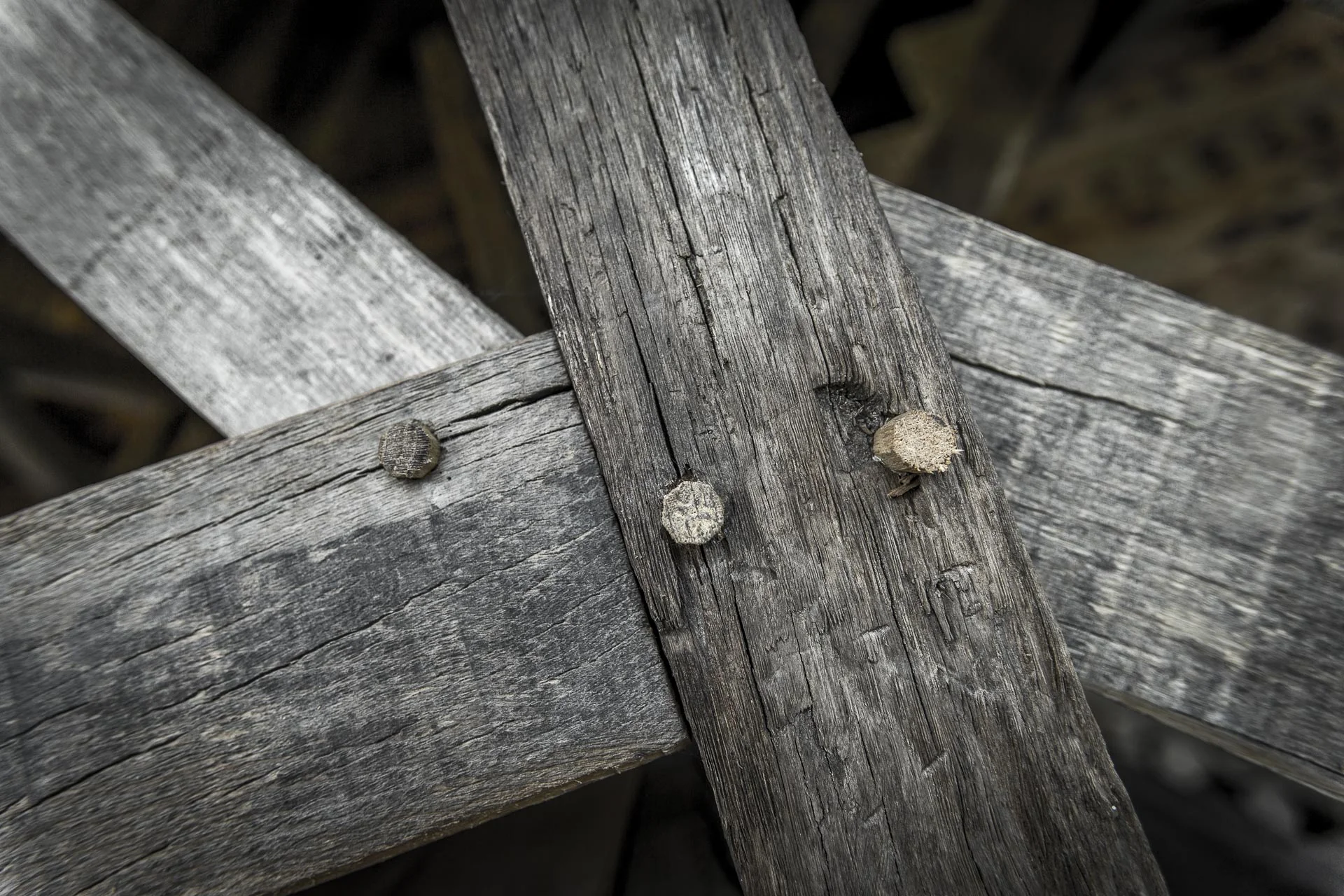 domaine_dablon_matieres_et_textures©stephaneleroy-E61R7248.jpg