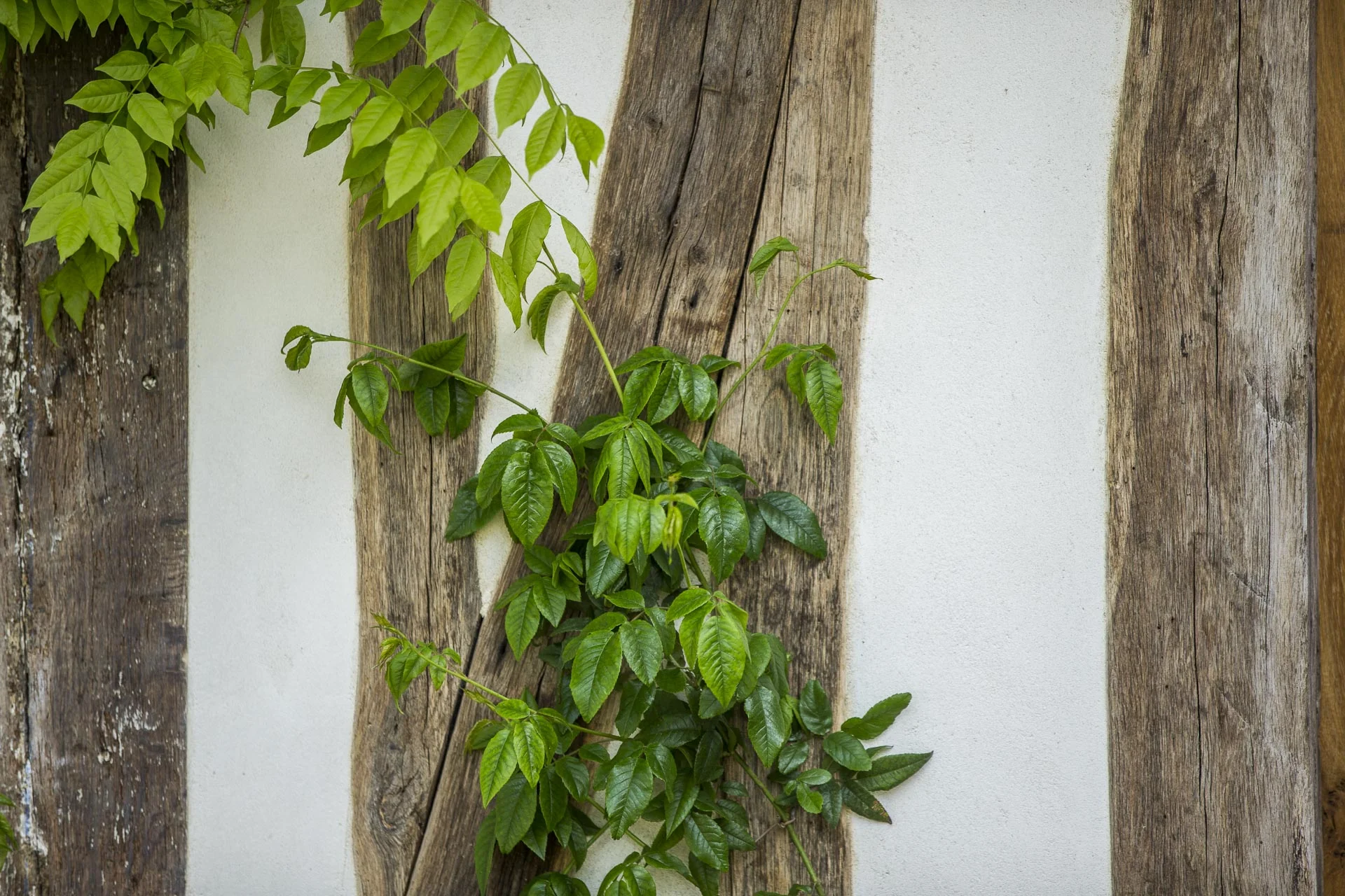 domaine_dablon_matieres_et_textures©stephaneleroy-7027.jpg